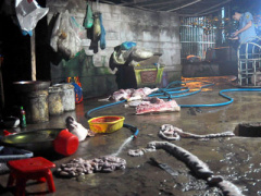 Ảnh bìa bài viết 382684