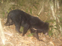 Ảnh bìa bài viết 382743