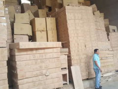 Ảnh bìa bài viết 383078