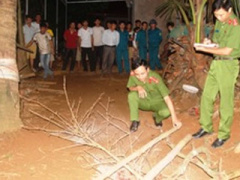 Ảnh bìa bài viết 383350