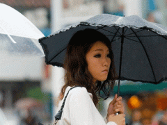Ảnh bìa bài viết 383303