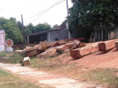 Ảnh bìa bài viết 383142