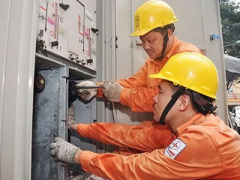Ảnh bìa bài viết 383341