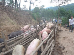 Ảnh bìa bài viết 383157