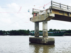 Ảnh bìa bài viết 383503