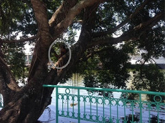 Ảnh bìa bài viết 383816