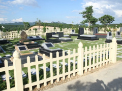 Ảnh bìa bài viết 383913