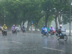 Ảnh bìa bài viết 383840