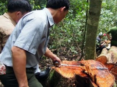 Ảnh bìa bài viết 383749