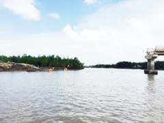 Ảnh bìa bài viết 383808