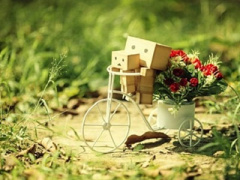 Ảnh bìa bài viết 383718