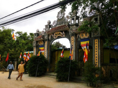 Ảnh bìa bài viết 384258
