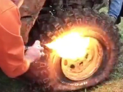 Ảnh bìa bài viết 384119