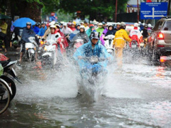 Ảnh bìa bài viết 384076