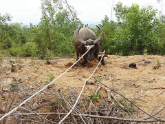 Ảnh bìa bài viết 384205