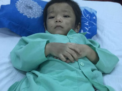 Ảnh bìa bài viết 384058