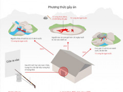 Ảnh bìa bài viết 384246
