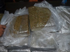 Ảnh bìa bài viết 384383