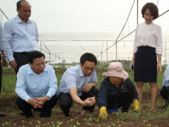 Ảnh bìa bài viết 384451