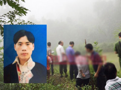 Ảnh bìa bài viết 384293