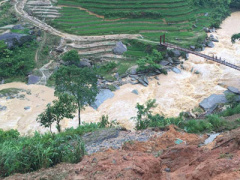 Ảnh bìa bài viết 384586
