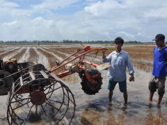 Ảnh bìa bài viết 384577