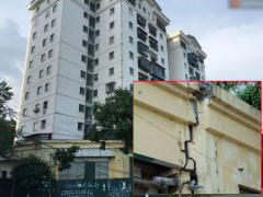 Ảnh bìa bài viết 384562