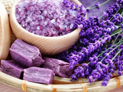 Ảnh bìa bài viết 384465