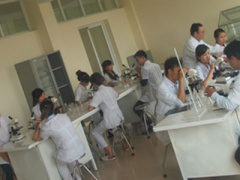 Ảnh bìa bài viết 384836