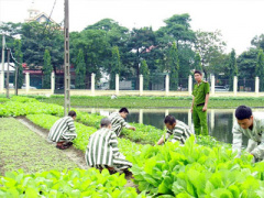 Ảnh bìa bài viết 384871