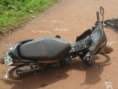Ảnh bìa bài viết 384899