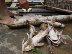 Ảnh bìa bài viết 384810