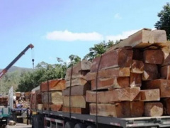 Ảnh bìa bài viết 384886