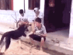 Ảnh bìa bài viết 384773