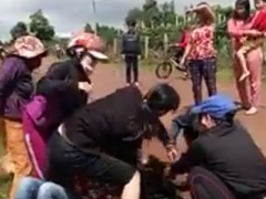 Ảnh bìa bài viết 384908