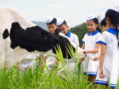 Ảnh bìa bài viết 384712