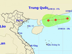 Ảnh bìa bài viết 384800
