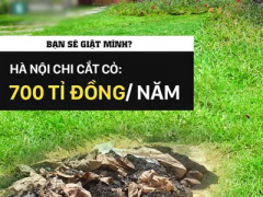 Ảnh bìa bài viết 384961