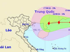 Ảnh bìa bài viết 384937