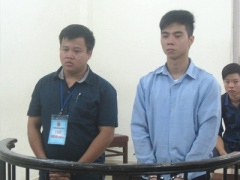 Ảnh bìa bài viết 385200