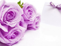 Ảnh bìa bài viết 384945