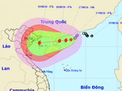 Ảnh bìa bài viết 385397