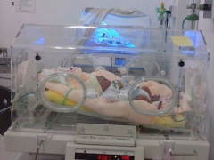 Ảnh bìa bài viết 385526