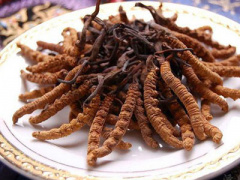 Ảnh bìa bài viết 385333
