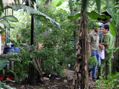 Ảnh bìa bài viết 385718