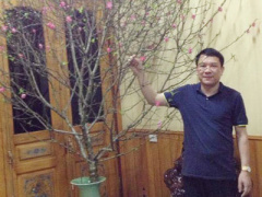 Ảnh bìa bài viết 385806