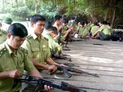 Ảnh bìa bài viết 385726