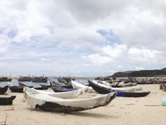 Ảnh bìa bài viết 385772