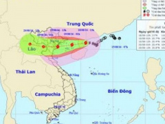 Ảnh bìa bài viết 385797