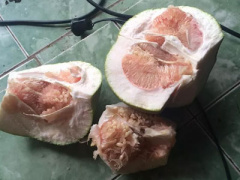 Ảnh bìa bài viết 385722